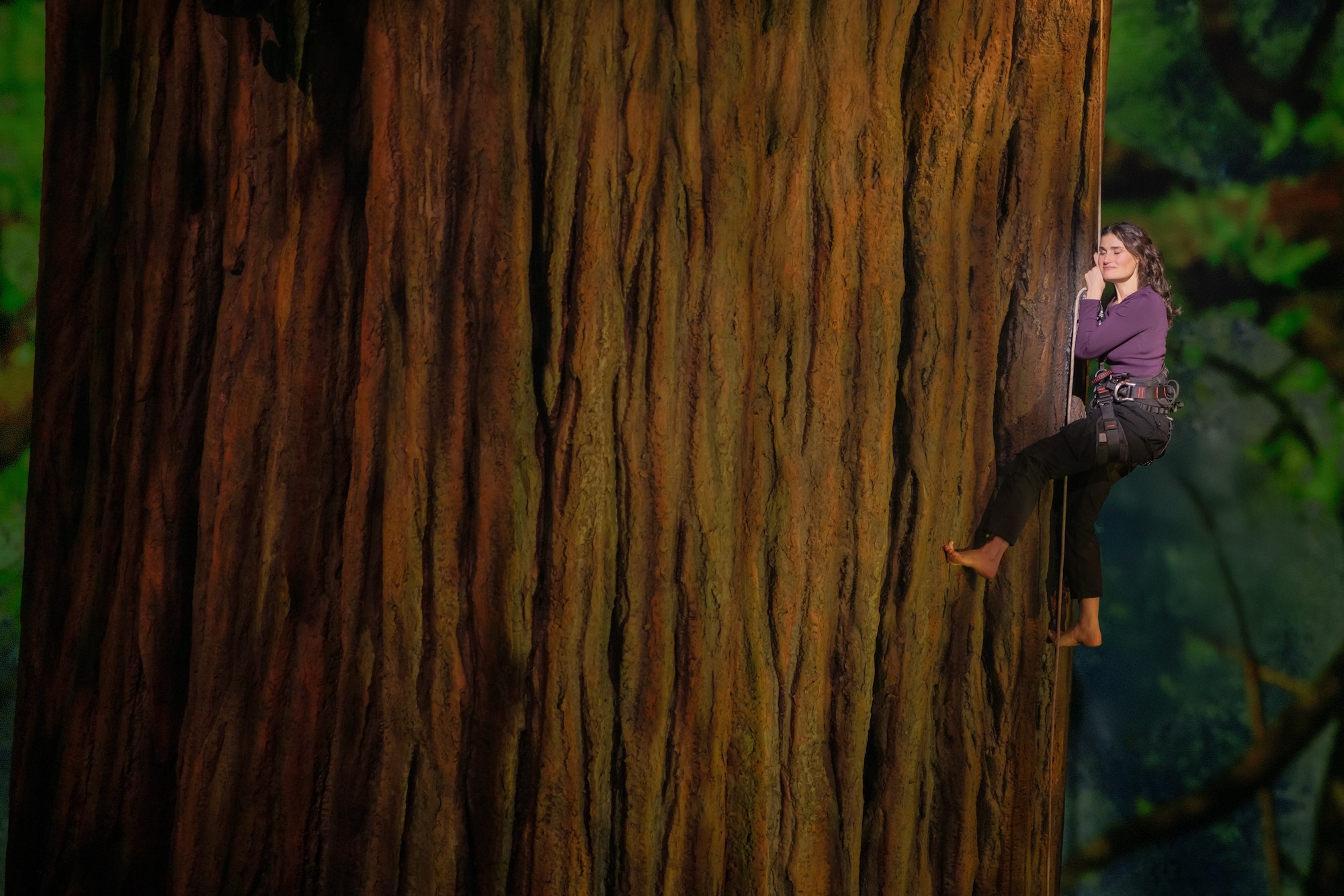 Idina Menzel in "Redwood"