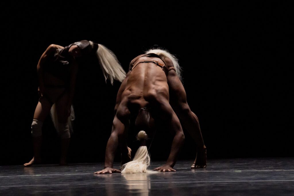 "Jamelgos" Limón Dance Company. Photo by Hisae Aihara.