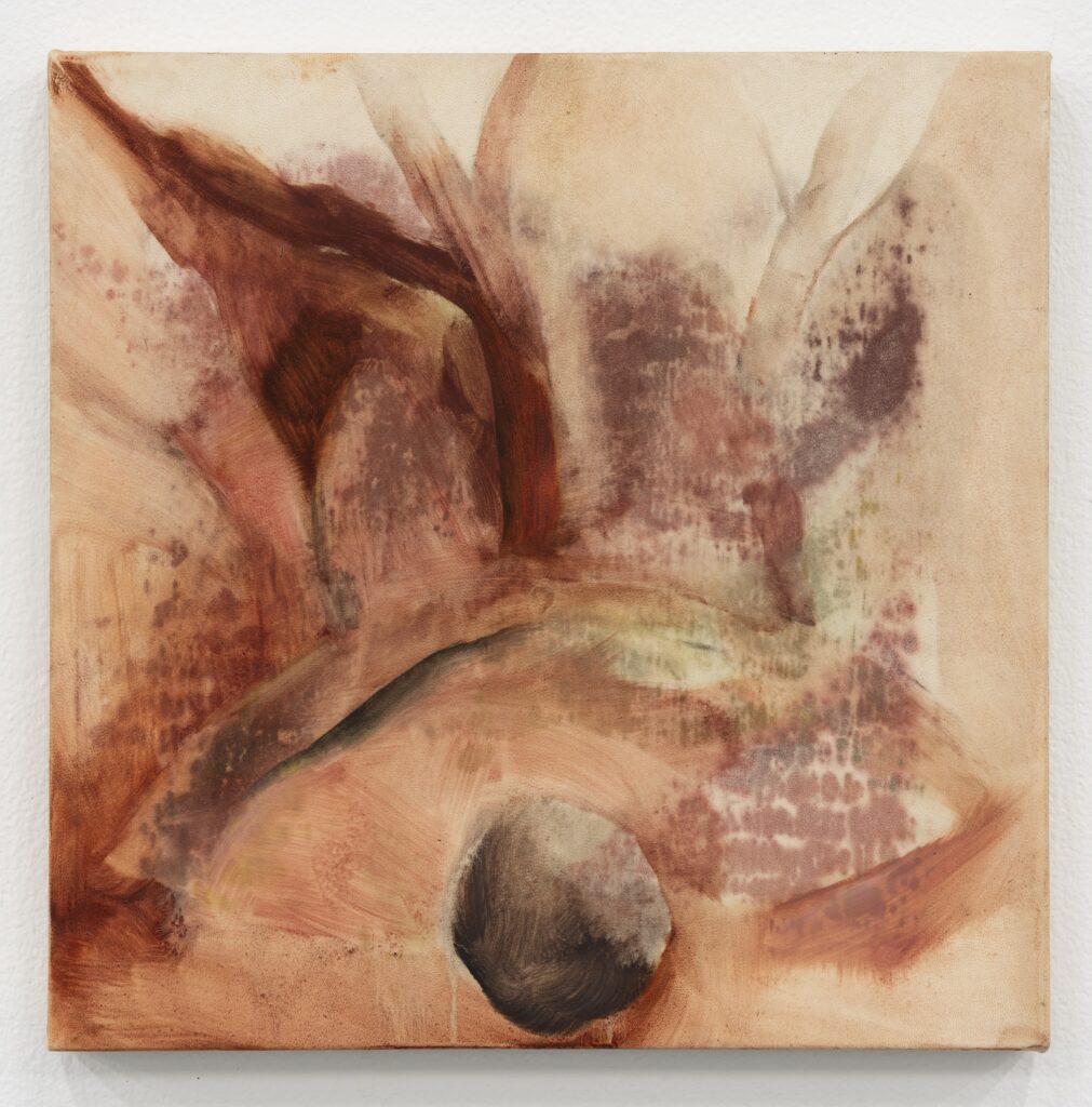 Beax Mendes, untitled. oil on sheepskin parchment
