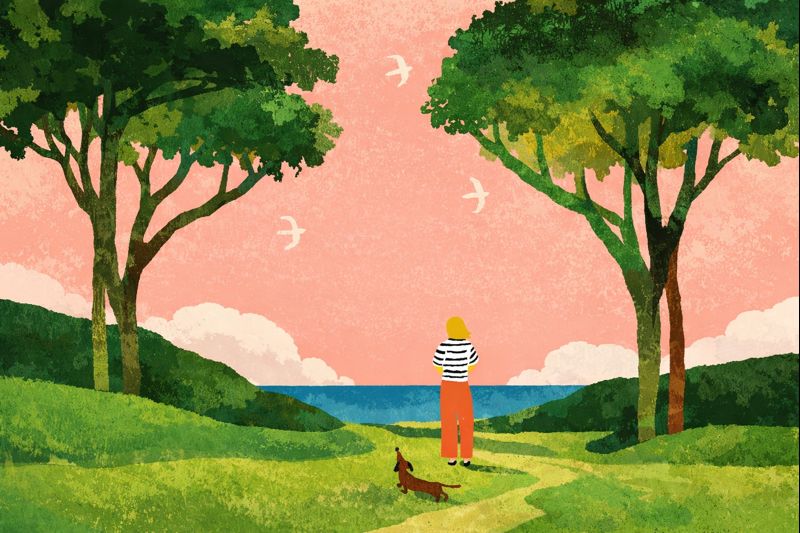 An illustration inspired by A Year of Nothing