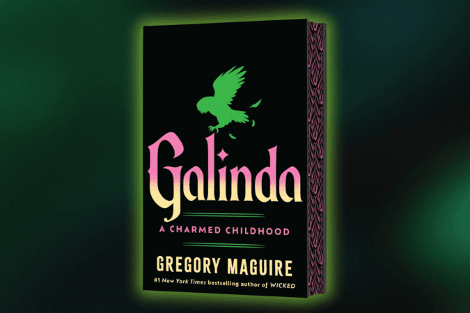 'Galinda' book cover by Gregory McGuire